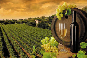 wine-gastr-tours1_b